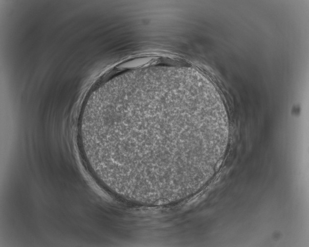 X0000116630049201001081301