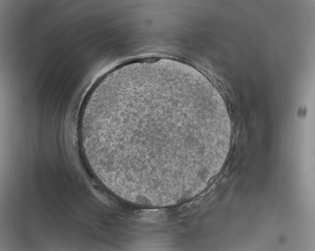 X0000116630050201001081301