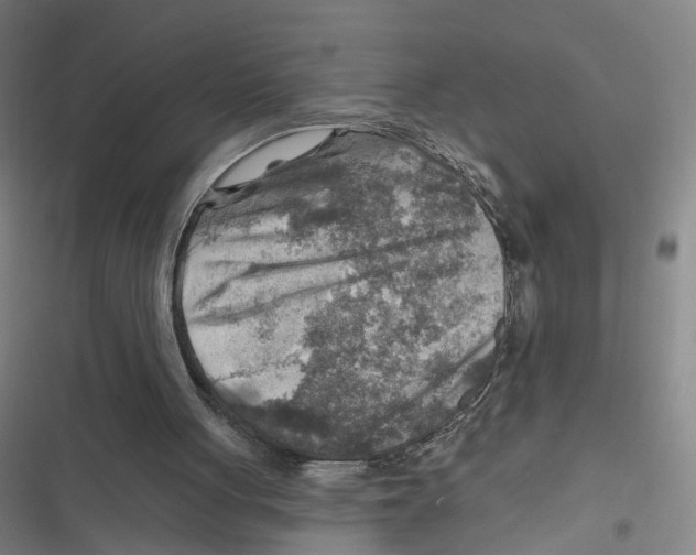 X0000116630051201001081301