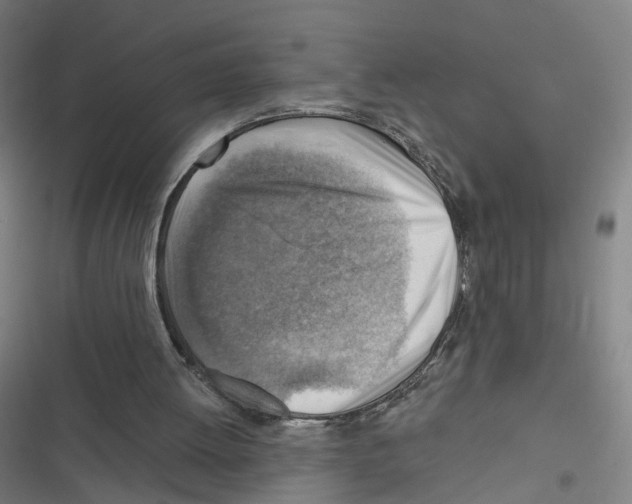 X0000116630052201001081301