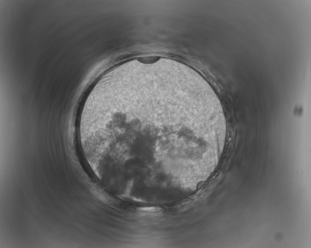 X0000116630053201001081301