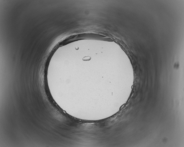 X0000116630054201001081301