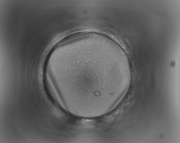 X0000116630055201001081301
