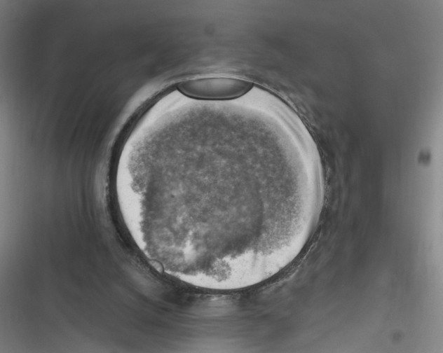 X0000116630056201001081301