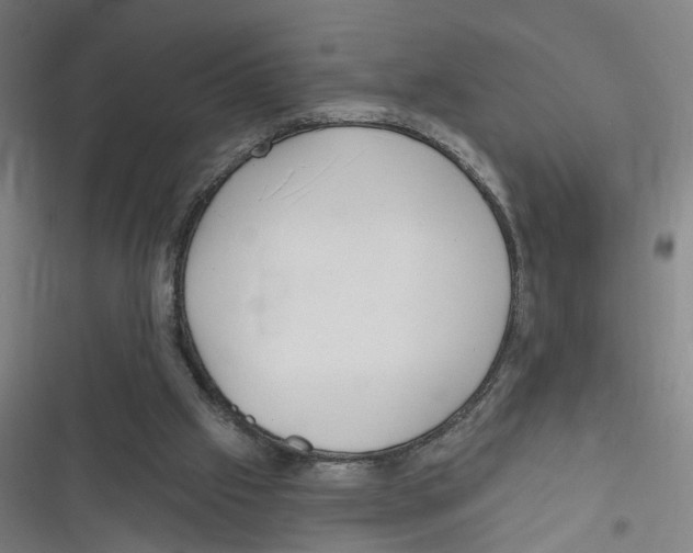 X0000116630057201001081301