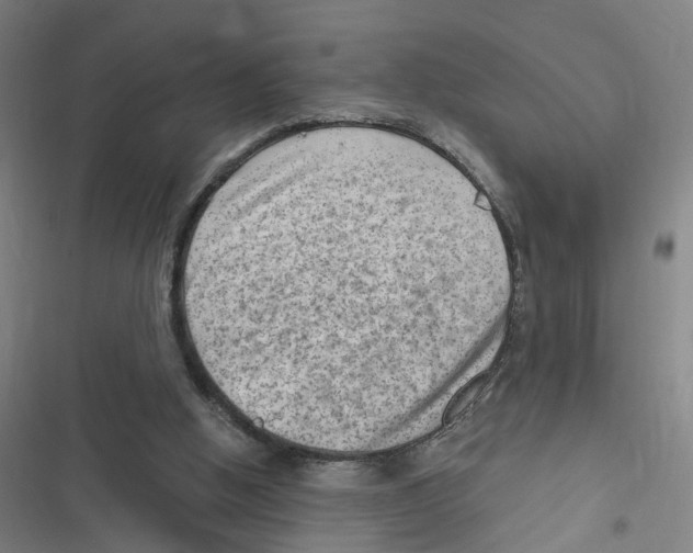 X0000116630058201001081301