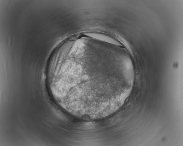X0000116630059201001081301