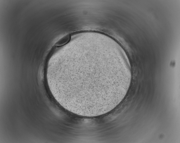 X0000116630060201001081301