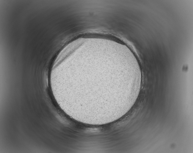 X0000116630061201001081301