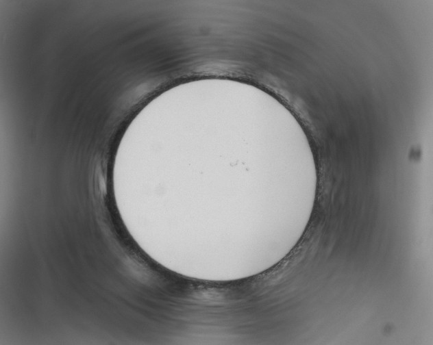 X0000116630062201001081301