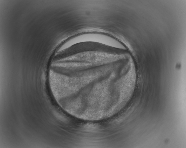 X0000116630063201001081301