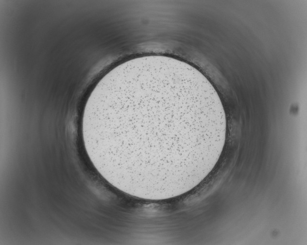 X0000116630064201001081301
