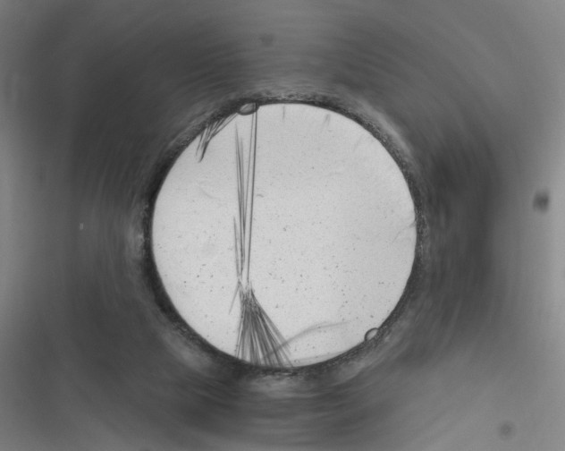 X0000116630065201001081301