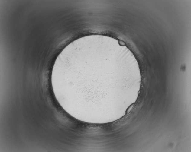 X0000116630066201001081301