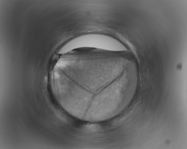 X0000116630067201001081301