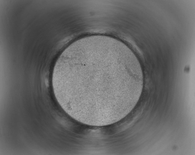 X0000116630068201001081301