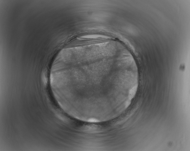 X0000116630069201001081301