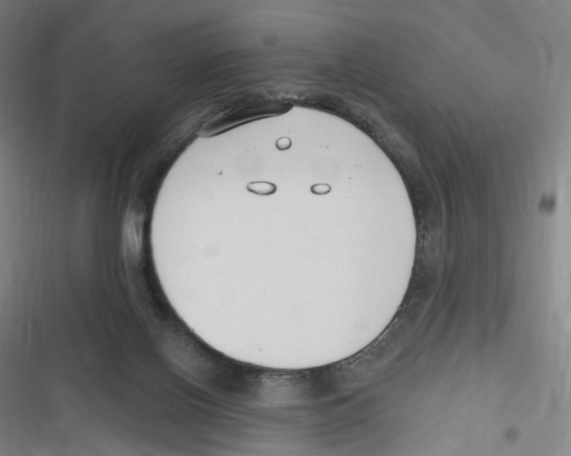 X0000116630070201001081301