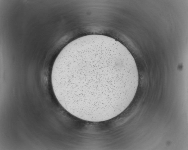X0000116630072201001081301