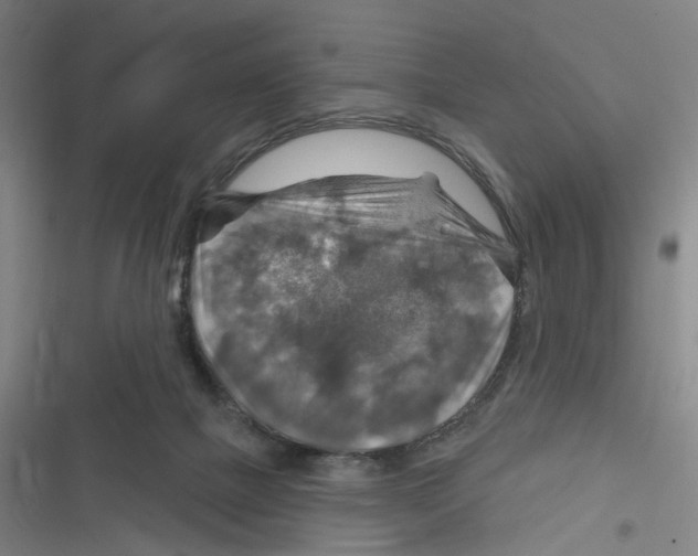 X0000116630073201001081301