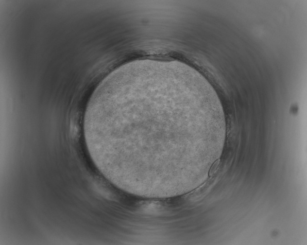 X0000116630074201001081301