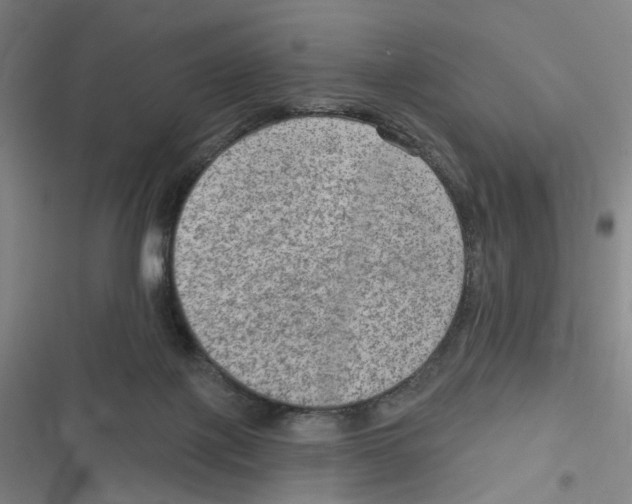 X0000116630075201001081301