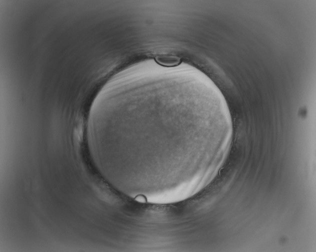 X0000116630076201001081301