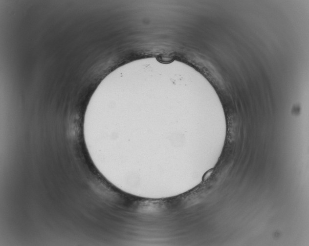 X0000116630077201001081301