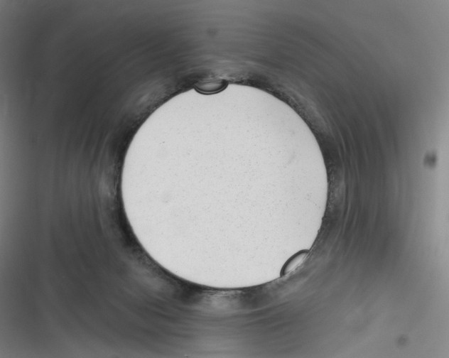 X0000116630078201001081301