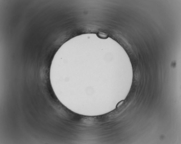 X0000116630079201001081301