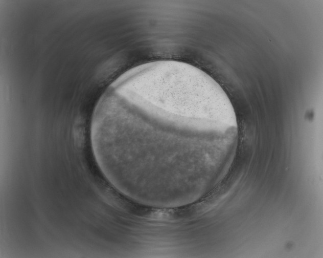 X0000116630080201001081301