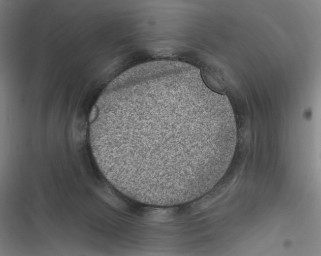 X0000116630081201001081301