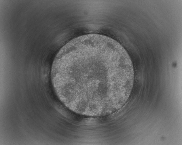 X0000116630082201001081301