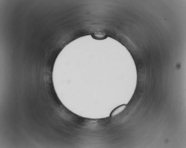 X0000116630083201001081301