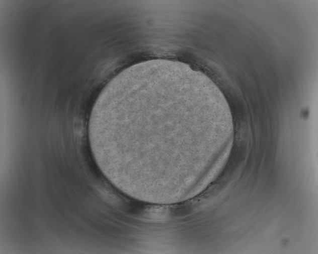 X0000116630084201001081301