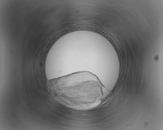 X0000116630085201001081301