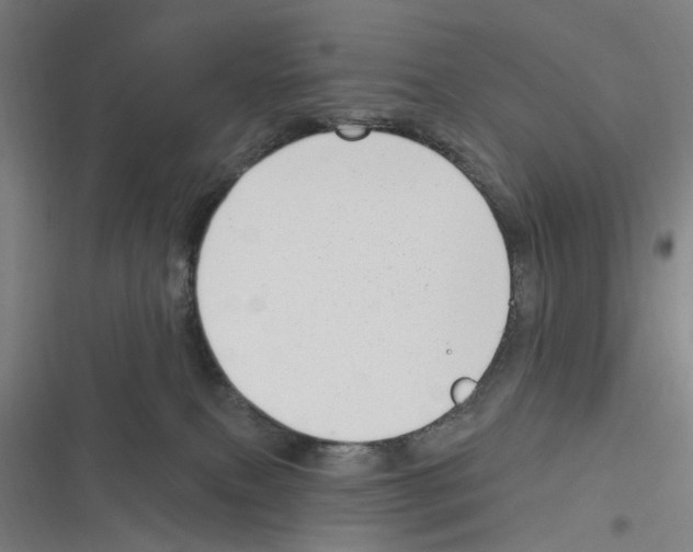 X0000116630087201001081301