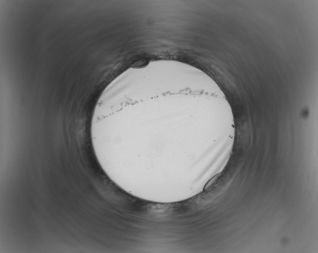 X0000116630088201001081301