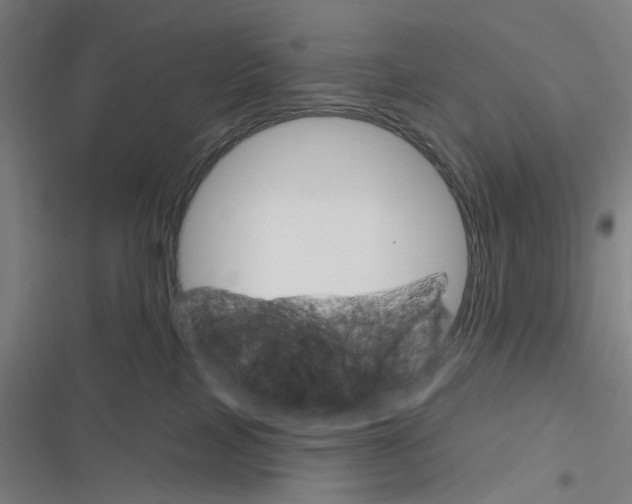 X0000116630089201001081301