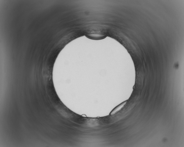 X0000116630091201001081301
