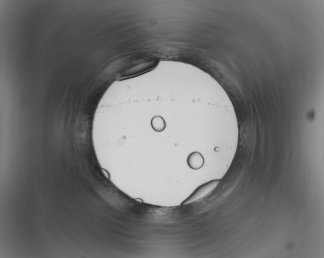 X0000116630092201001081301