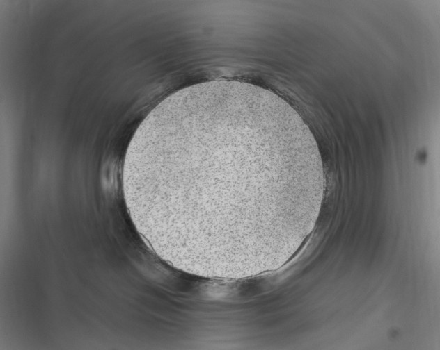 X0000116630094201001081301
