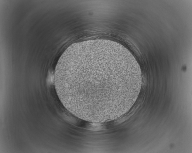 X0000116630095201001081301