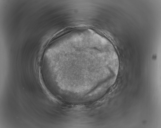 X0000116630097201001081301