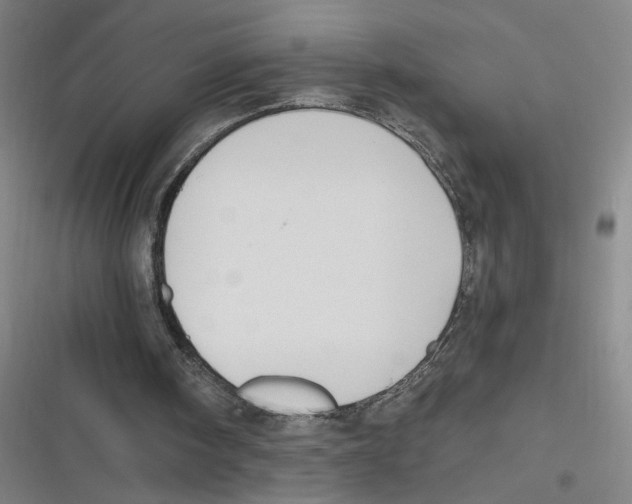 X0000116630098201001081301