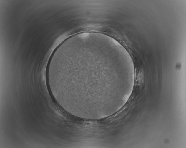 X0000116630099201001081301