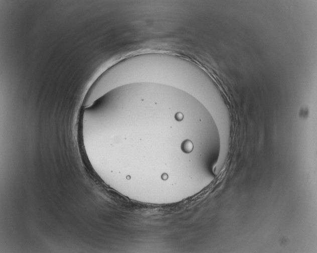 X0000116630100201001081301