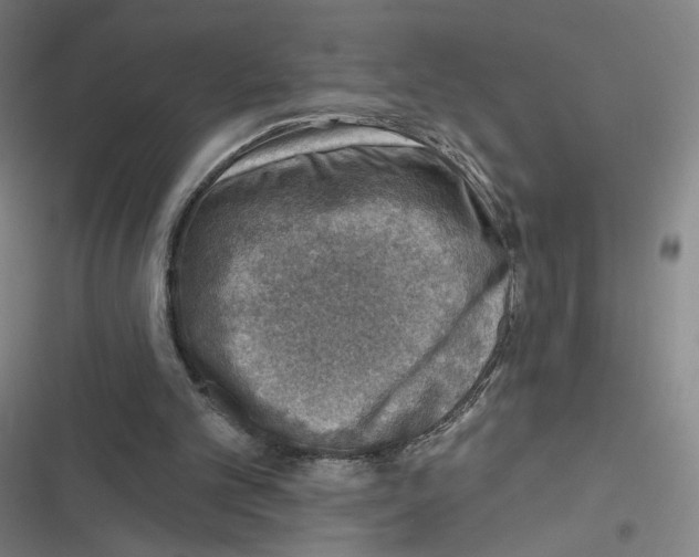 X0000116630101201001081301