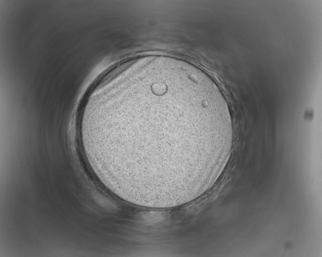 X0000116630102201001081301