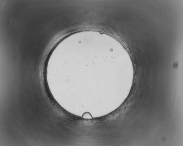 X0000116630103201001081301